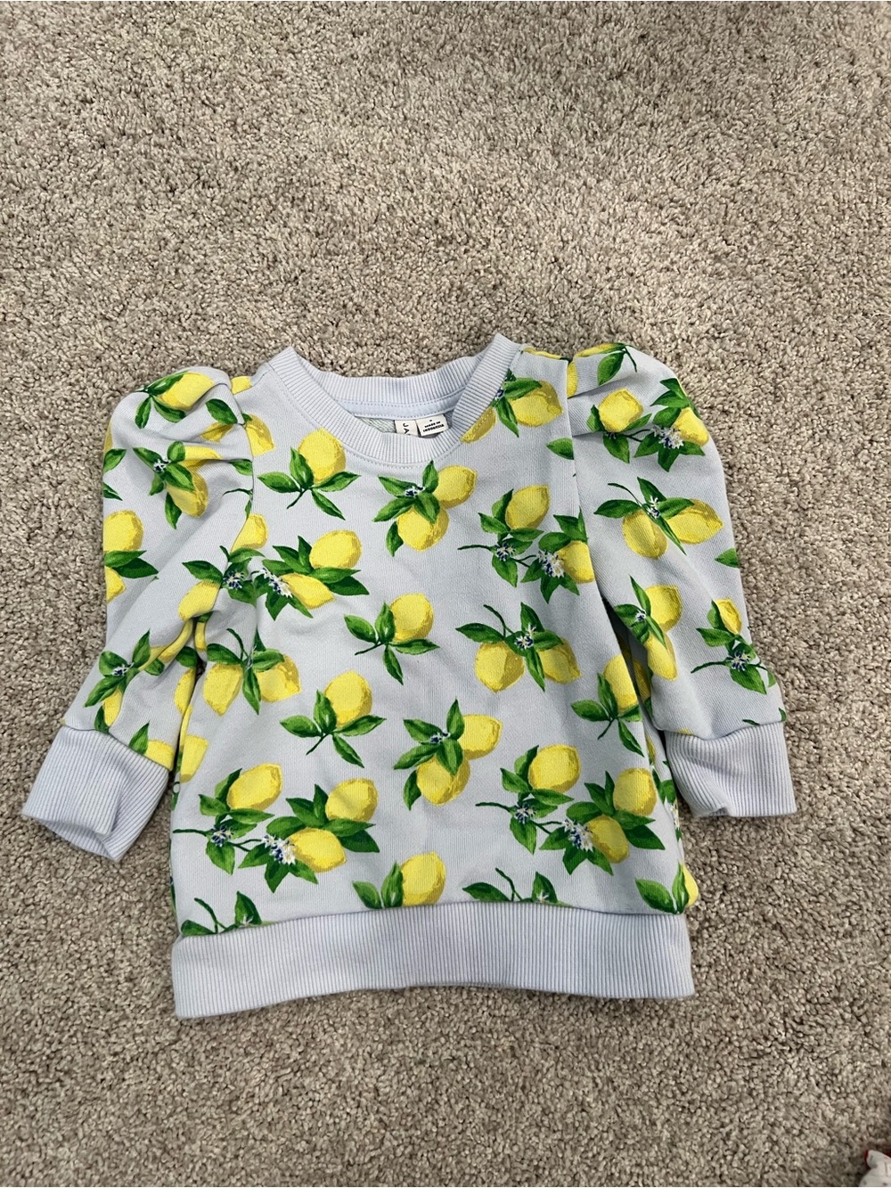 Janie and Jack Light Blue 3/4 Sleeve Sweatshirt with Yellow Lemon Print
